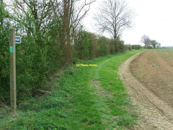 Photo 6"x4" Footpath And Sign Bacton Green\/TM0365 c2011