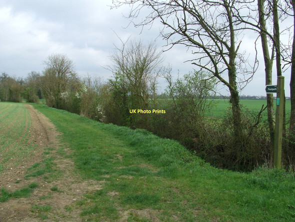 Photo 6"x4" Footpath And Field Boundary Bacton Green\/TM0365 c2011