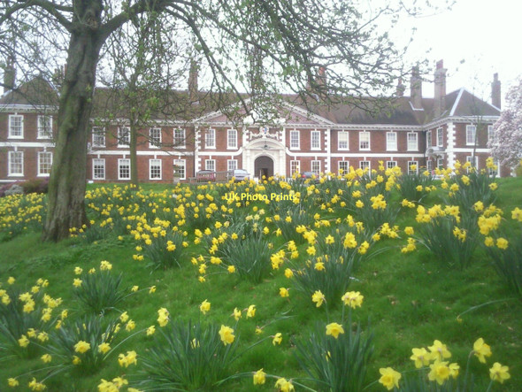 Photo 6"x4" Morden College in springtime Greenwich\/TQ3977 c2011