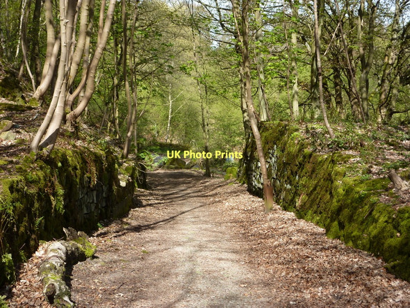 Photo 6"x4" Old quarry track to Lees Road Stanton Lees c2011