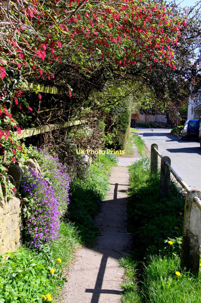 Photo 6"x4" Raised path in North Moreton North Moreton c2011