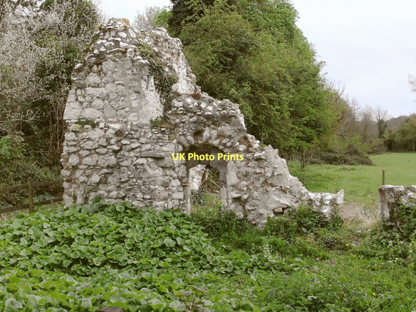 Photo 6"x4" The ruins of Ankerwycke Priory, near Wraysbury Egham c2011