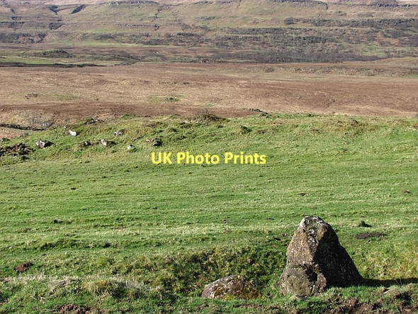 Photo 6"x4" Glen Bellart River Bellart c2011