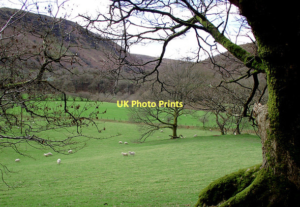Photo 6"x4" Tywi Valley pasture near Rhandirmwyn, Carmarthenshire Nant-y-Bai c2011