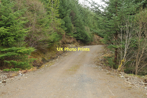 Photo 6"x4" Forestry road near Barcaldine Barcaldine c2011
