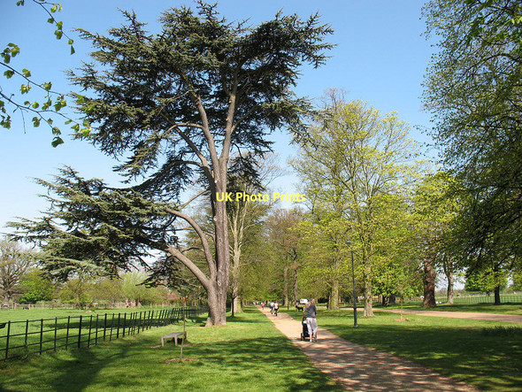 Photo 6"x4" Avenue to Osterley House Hounslow c2011