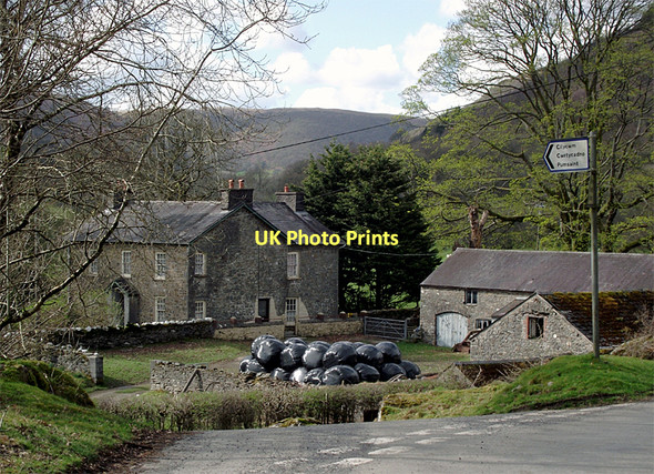 Photo 6"x4" Broncwrt near Rhandirmwyn Bridge, Carmarthenshire Nant-y-Bai c2011