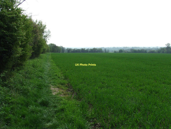 Photo 6"x4" Field And Footpath Ashfield\/TM2062 c2011