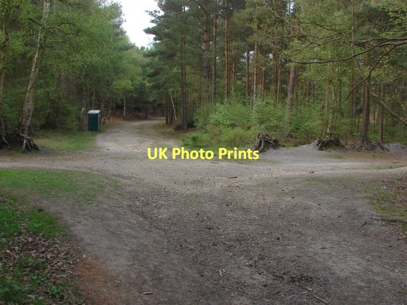 Photo 6"x4" Rhododendron Road Frimley c2011