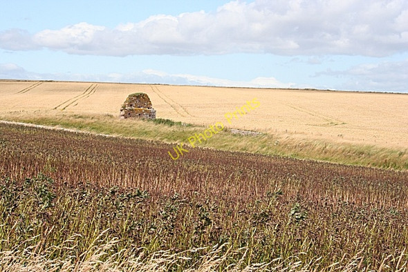 Photo 6"x4" St Murdoch's Chapel Red Head\/NO7047 c2009 P2