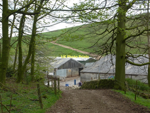 Photo 6"x4" Track to Lowmoor Farm Ballidon c2011
