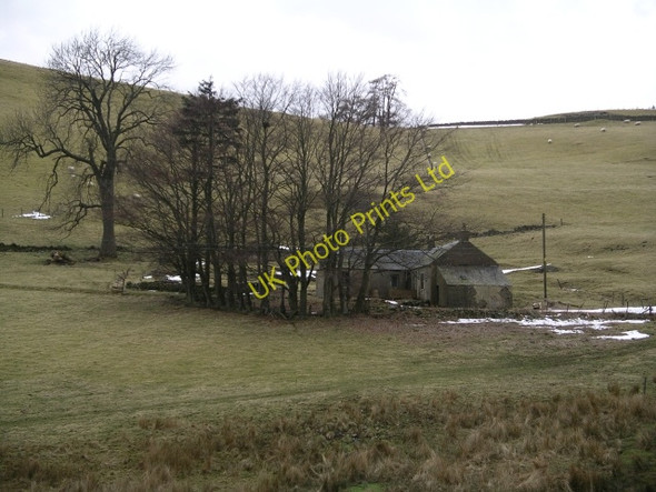 Photo 6"x4" Longcote Farm Eddleston c2006