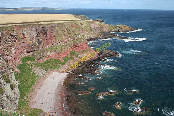 Photo 6"x4" East Comb and Auld Mains Red Head\/NO7047 c2009