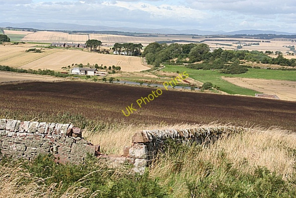 Photo 6"x4" South Mains of Ethie Inverkeilor c2009