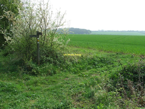 Photo 6"x4" Footpath Junction Ashfield\/TM2062 c2011