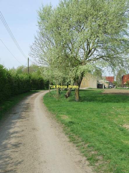 Photo 6"x4" Grove Lane Ashfield\/TM2062 c2011