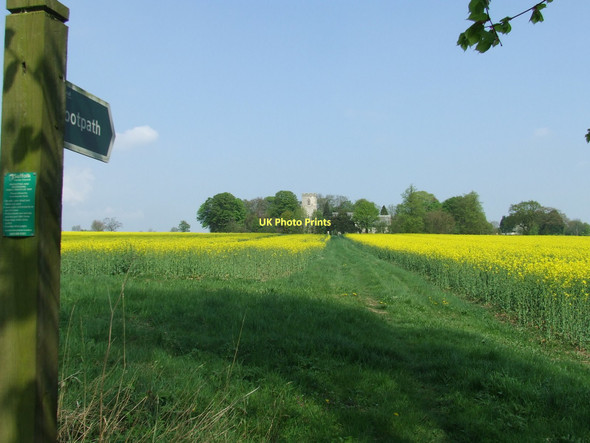 Photo 6"x4" Footpath Through The Rape Monk Soham c2011