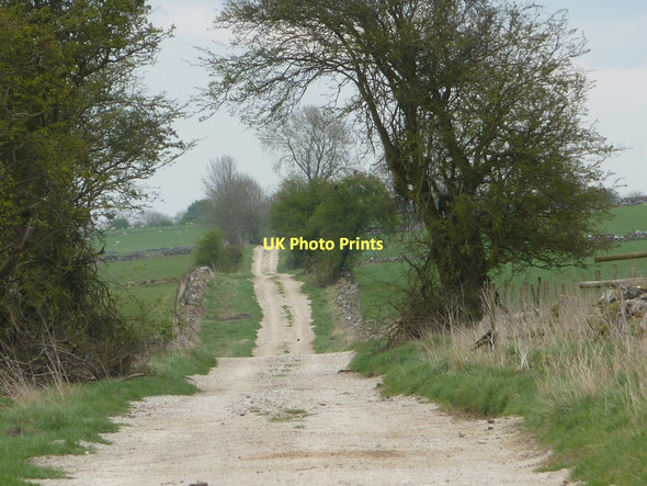 Photo 6"x4" Along the track Pikehall c2011