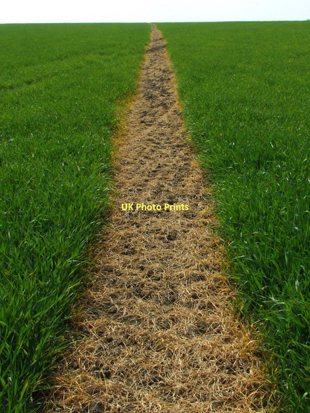 Photo 6"x4" Clear Footpath Kenton Corner c2011
