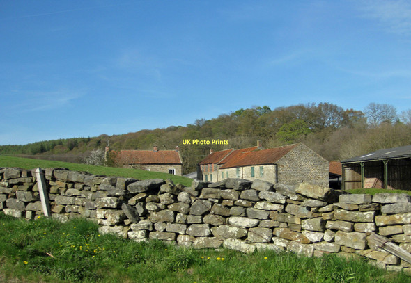Photo 6"x4" Lowna Farm Gillamoor c2011
