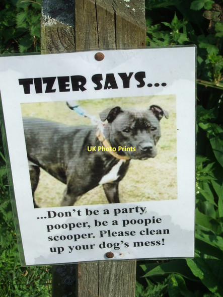 Photo 6"x4" Party Pooper Debenham c2011
