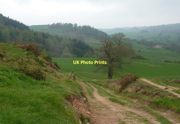 Photo 6"x4" Footpath to Youlgreave Bradford\/SK2164 c2011