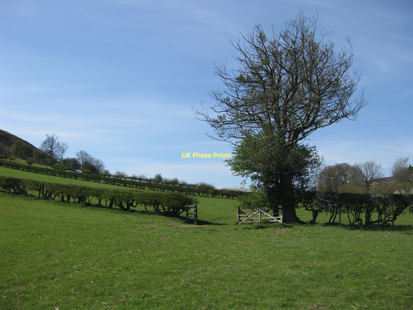 Photo 6"x4" Tabular Hills Walk Hutton-le-Hole c2011