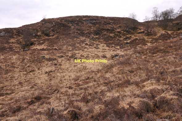 Photo 6"x4" Hillside near Lurg a' Chuilinn Garrygualach c2011
