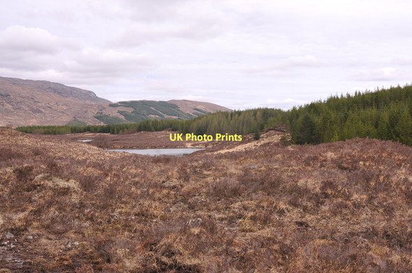 Photo 6"x4" Lochan Bad an Losguinn Garrygualach c2011