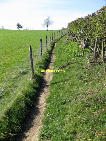 Photo 6"x4" Tabular Hills Walk Gillamoor c2011