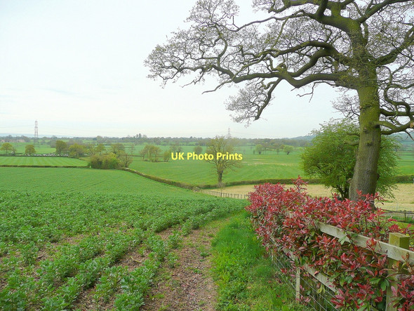 Photo 6"x4" Farmland south of Kent's Green Kent's Green c2011