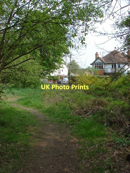 Photo 6"x4" Blackdown Hill training area Frimley c2011