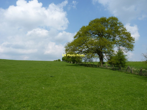 Photo 6"x4" A diverted footpath Darley\/SO6899 c2011