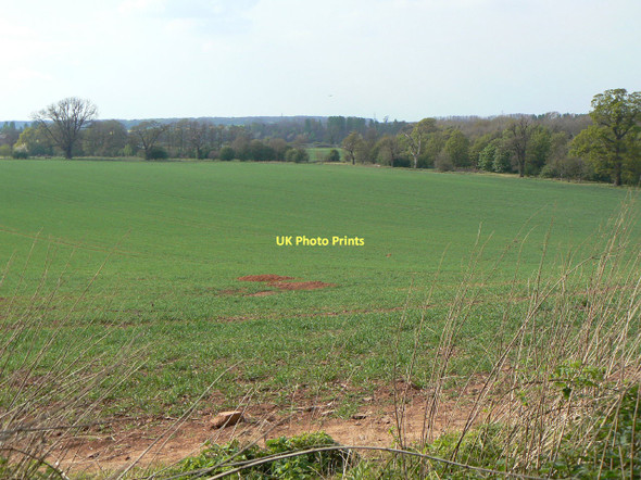 Photo 6"x4" Garendon Park Thorpe Acre c2011