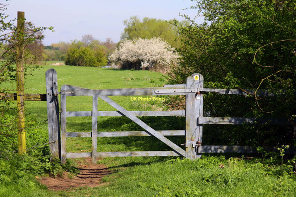 Photo 6"x4" Gate on the Thames Path Burcot\/SU5695 c2011