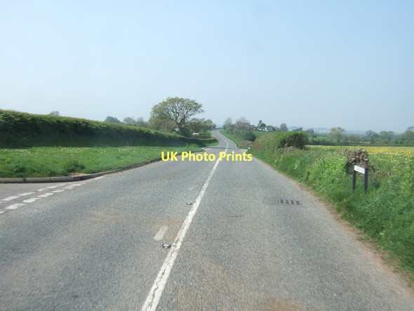 Photo 6"x4" The end of Parsons Lane Jack-in-the-Green c2011