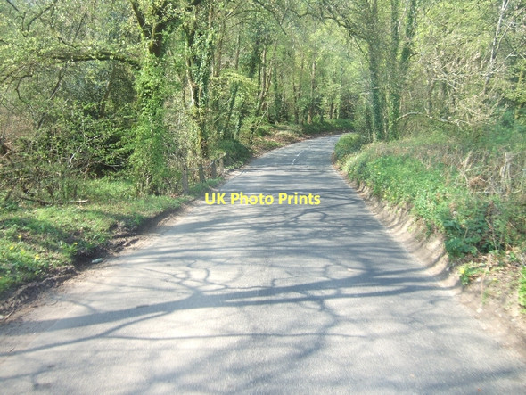 Photo 6"x4" Bridge over stream at Foxenholes Ottery St Mary c2011