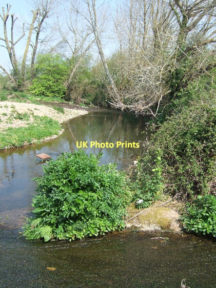 Photo 6"x4" River Otter Ottery St Mary c2011