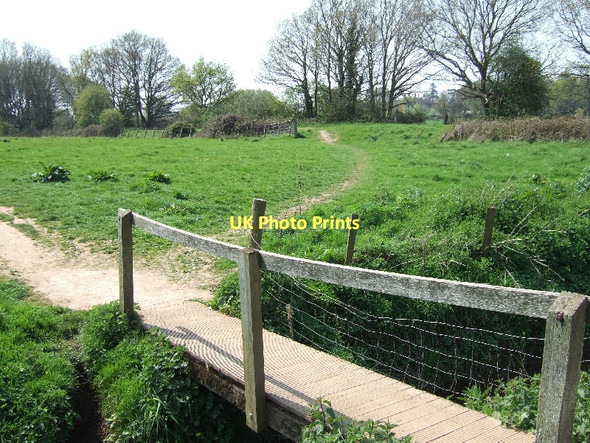 Photo 6"x4" Junction of paths by River Otter Ottery St Mary c2011