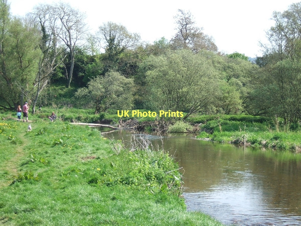 Photo 6"x4" River Otter and riverside path Ottery St Mary c2011