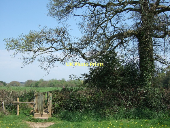 Photo 6"x4" Footbridge beside the River Otter Ottery St Mary c2011