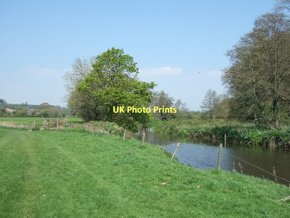 Photo 6"x4" Footbridge beside the River Otter Fluxton c2011 P1