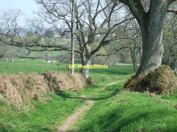 Photo 6"x4" Footpath through Tipton Vale Fluxton c2011