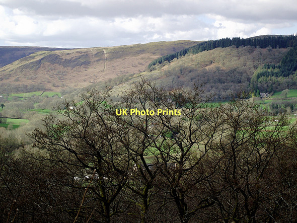 Photo 6"x4" Cwm Tywi near Rhandirmwyn, Carmarthenshire Rhandirmwyn c2011
