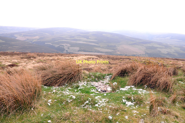Photo 6"x4" Remains of a sheep on the slopes of Monadh Fergie Mein a' Ch\u00f2is c2011