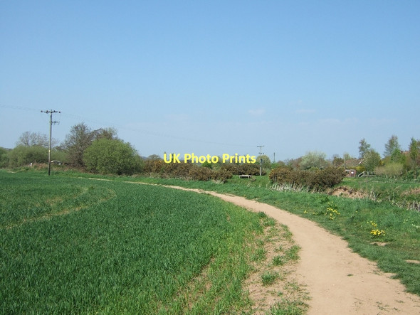 Photo 6"x4" River Otter and riverside path Tipton St John c2011