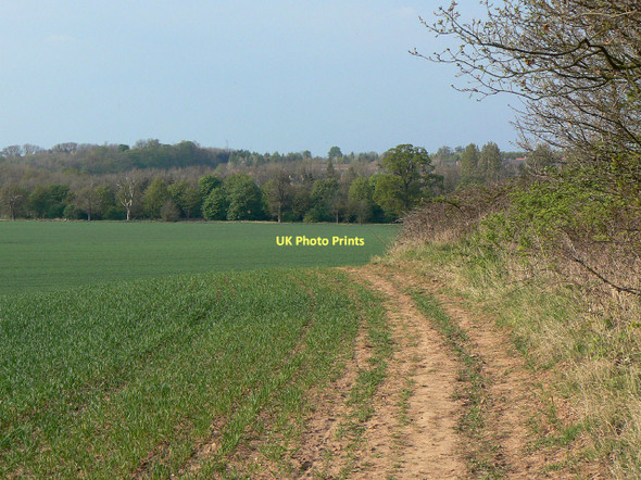 Photo 6"x4" The edge of Garendon Park Thorpe Acre c2011
