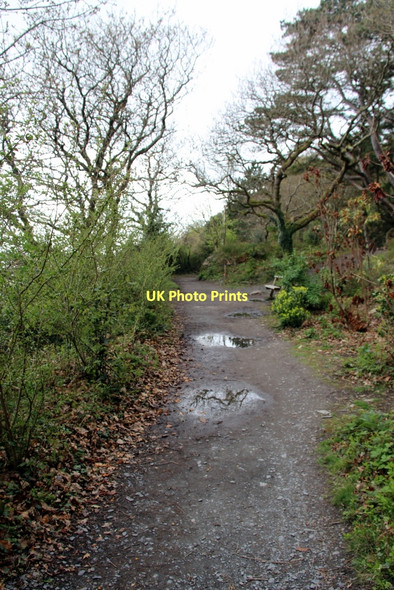 Photo 6"x4" Coastal Path near Portmeirion Porthmadog c2011