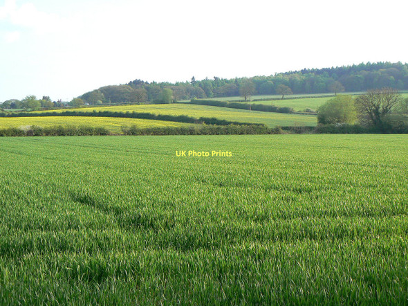 Photo 6"x4" Fields near Nanpantan Loughborough c2011