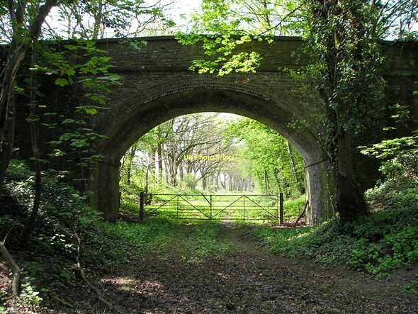 Photo 6"x4" Railway bridge Nextend c2011